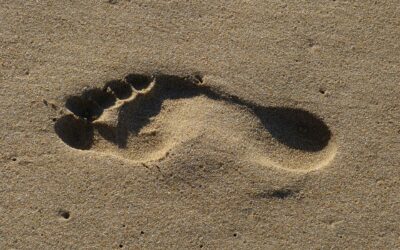 One Footprint at a Time